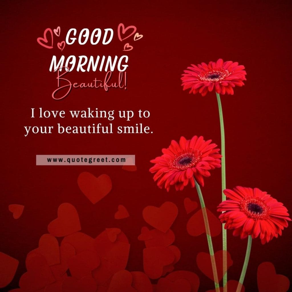 beautiful-good-morning-red-flowers-images-flower-love-romantic-pic-picture-nature-fresh-heart-love-message-for-her-wife-him-husband-3-red-flowers-three