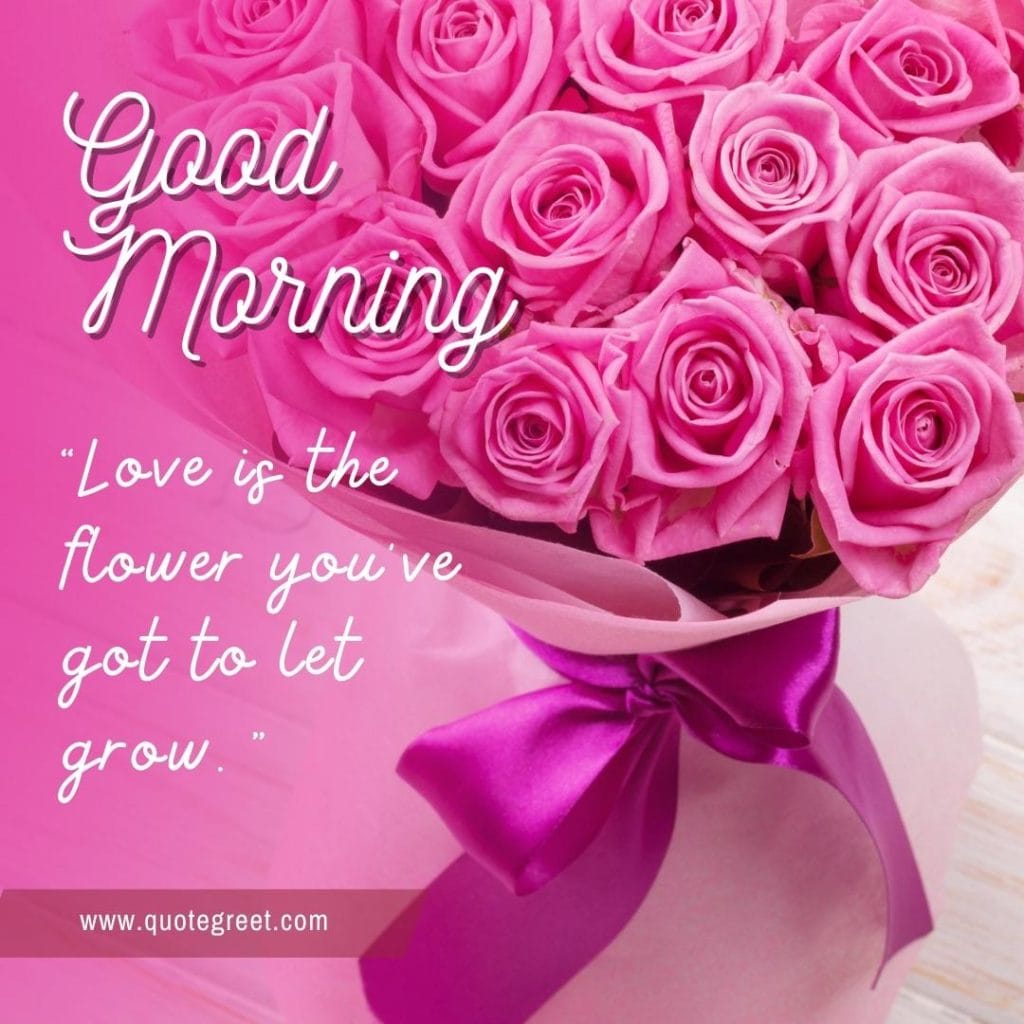 cute-good-morning-pink-rose-flower-bouquet-image-images-piture-pic-pictures-photo-photos-wish-wishes-messages-bookey-booke