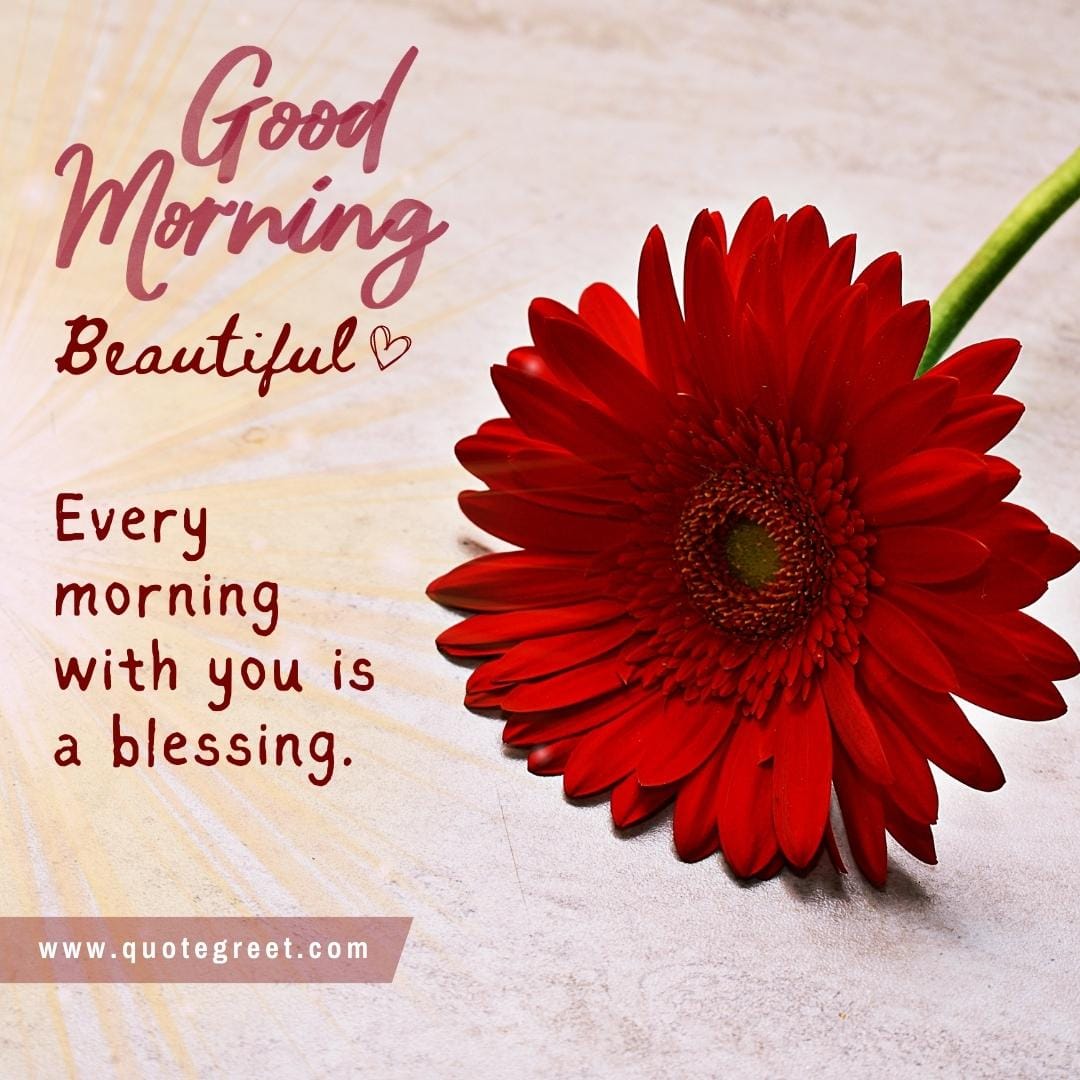 beautiful-good-morning-red-flowers-images-flower-love-romantic-pic-picture-nature-fresh-beautiful-love-message-for-her-wife-him-husband