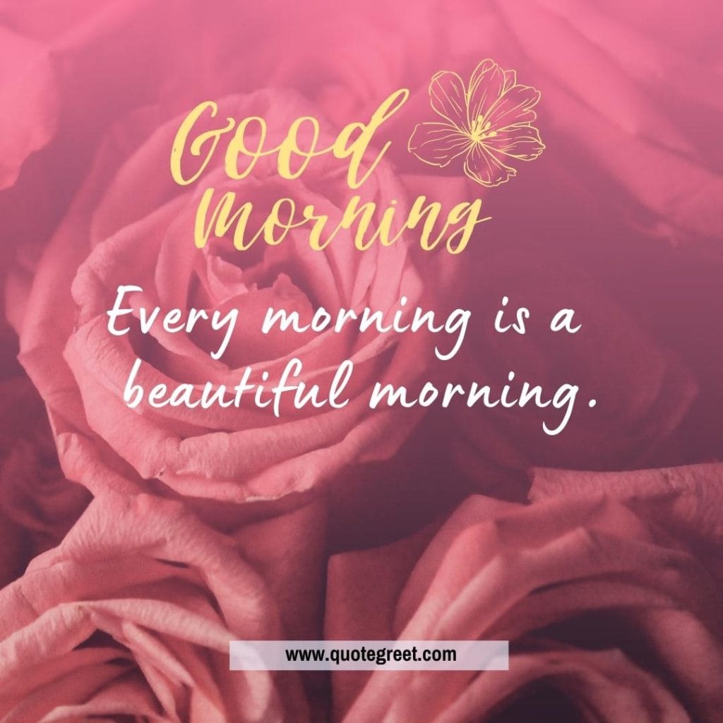 beautiful-good-morning-pink-rose-flower-image-images-piture-pic-pictures-photo-photos-wish-wishes.