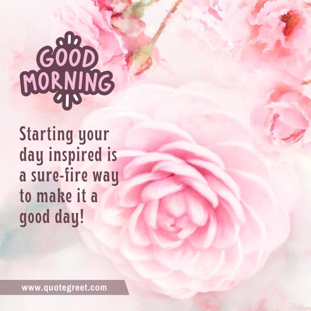 cute-watercolor-good-morning-beautiful-pink-rose-flower-image-images-piture-pic-pictures-photo-photos-wish-wishes-greetings-message