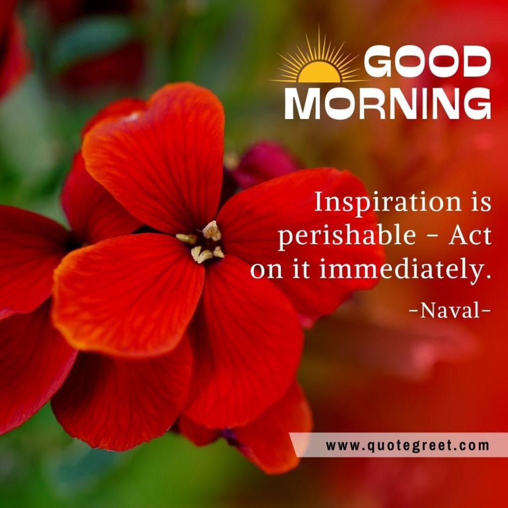 beautiful-good-morning-quotes-red-flowers-images-flower-love-romantic-pic-picture-nature-fresh-quotes