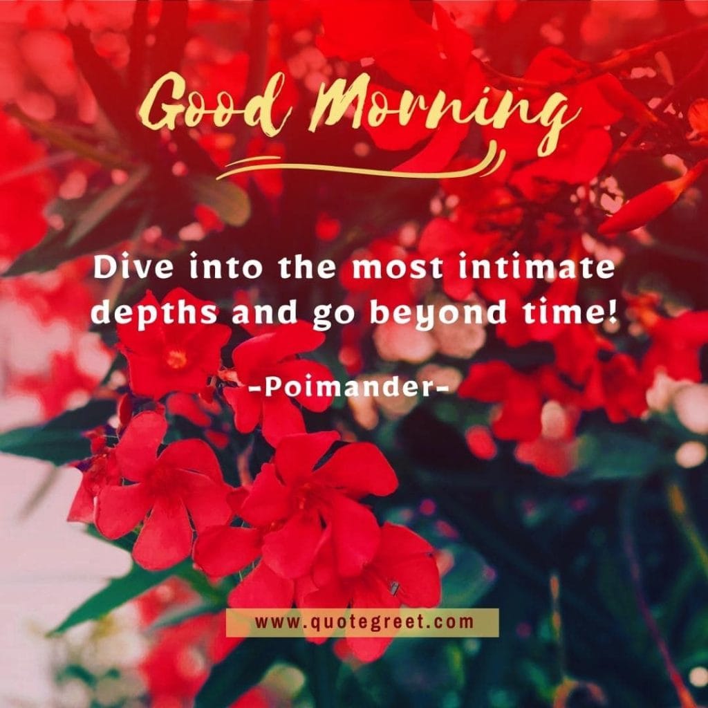 beautiful-good-morning-quotes-red-flowers-images-flower-love-romantic-pic-picture-nature-fresh-quotes