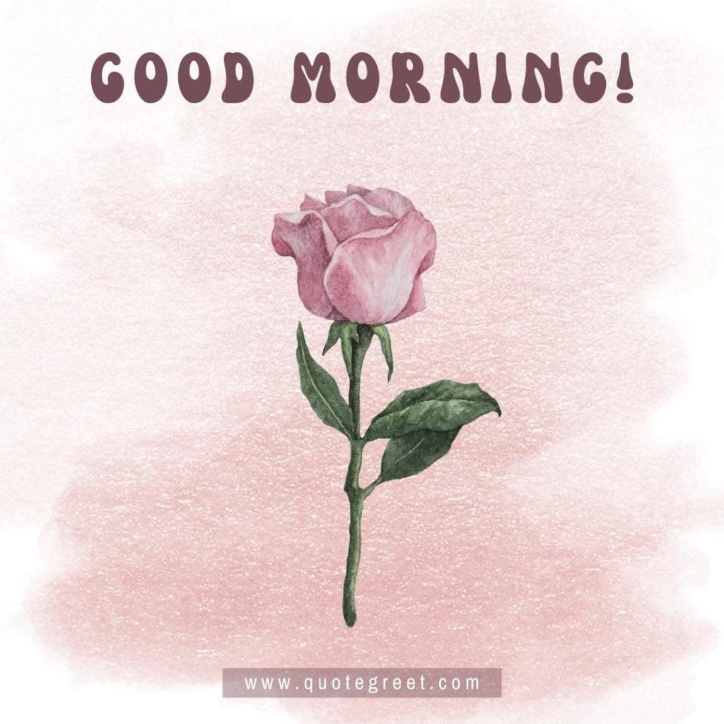 cute-watercolor-good-morning-beautiful-pink-rose-gold-single-one-flower-image-images-piture-pic-pictures-photo-photos-wish-wishes-greetings-message