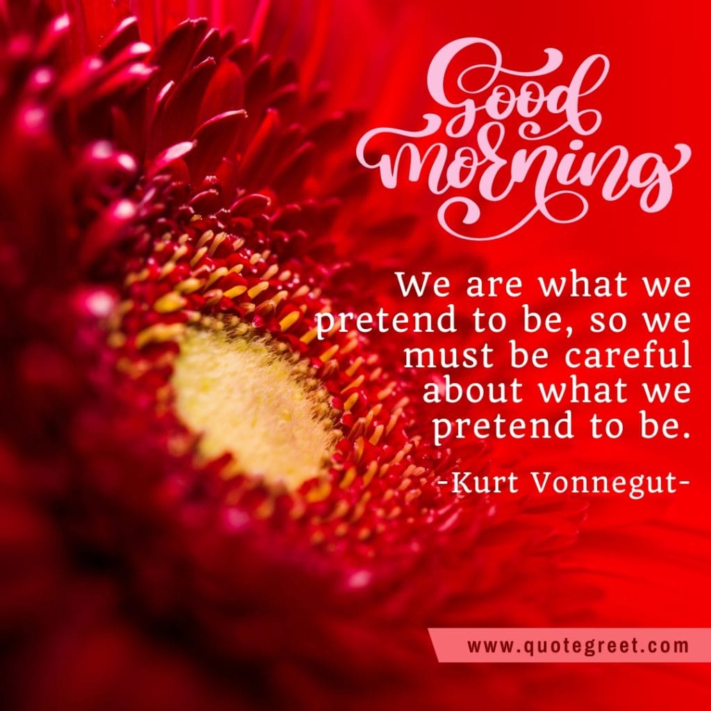 beautiful-good-morning-quote-with-red-flowers-images-flower-love-romantic-pic-picture-nature-fresh-quotes