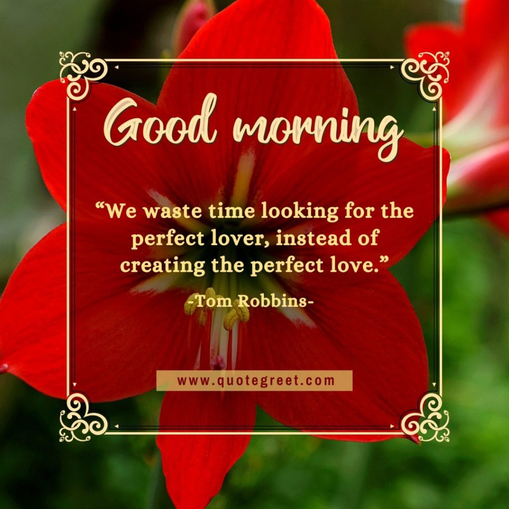 eautiful-good-morning-quote-with-red-flowers-images-flower-love-romantic-pic-picture-nature-fresh-quotes