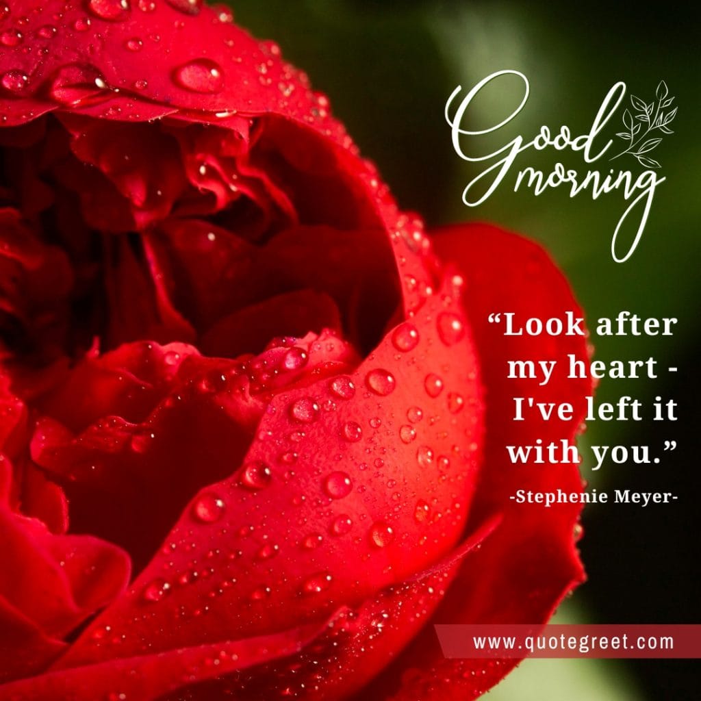 eautiful-good-morning-quote-with-red-flowers-images-flower-love-romantic-pic-picture-nature-fresh-quotes