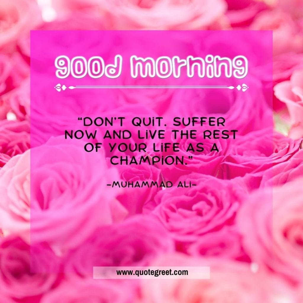 good-morning-quote-quotes-with-beautiful-pink-rose-flower-image-images-piture-pic-pictures-photo-photos-wish-wishes-greetings-message