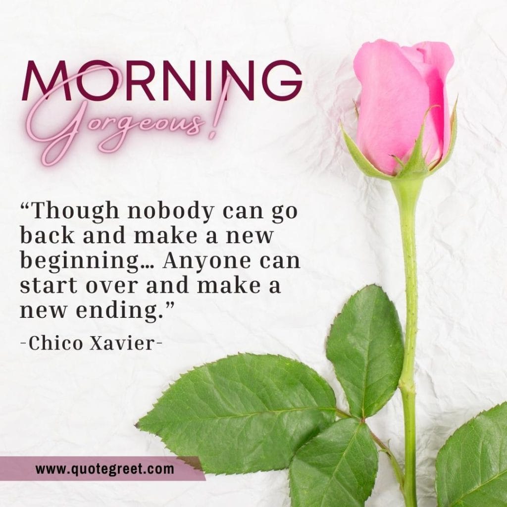 good-morning-quote-quotes-with-beautiful-single-one-pink-rose-flower-image-images-piture-pic-pictures-photo-photos-wish-wishes-greetings-message-good-morning-gorgeous