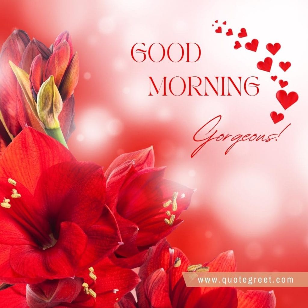 beautiful-good-morning-red-flowers-images-flower-love-romantic-pic-picture-nature-fresh-hearts-gorgeous