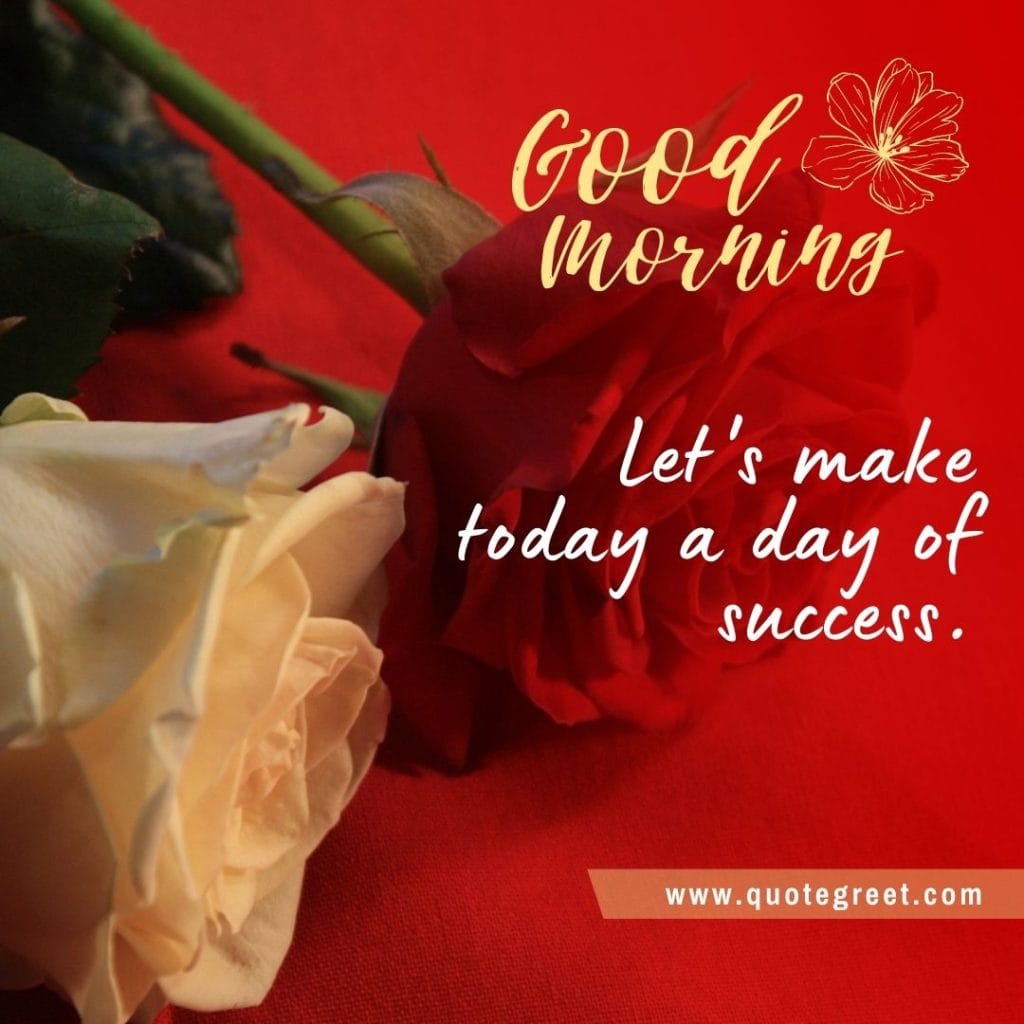 red-white-rose-good-morning-beautiful-cute-wish-romantic-wishes-message-love-greeting-greetings-gud-white-flower