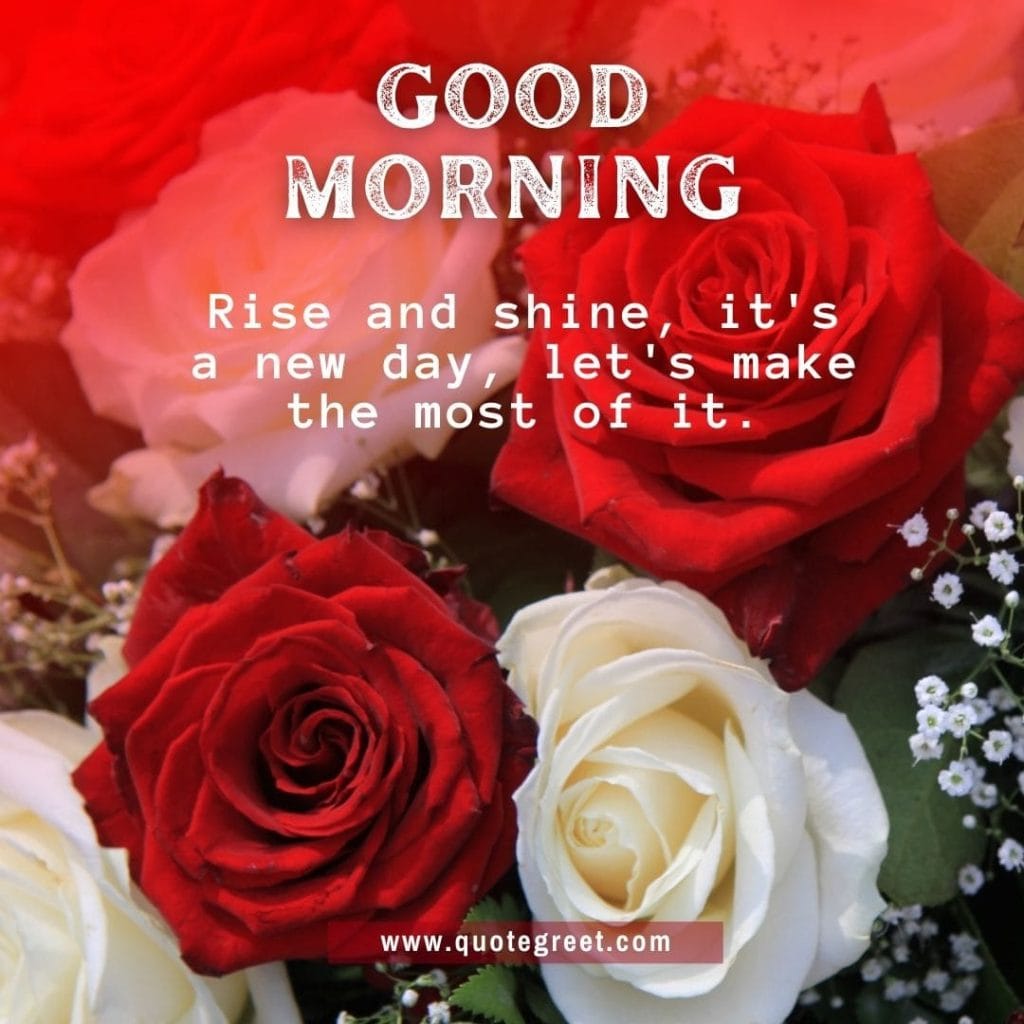 red-white-rose-good-morning-beautiful-cute-wish-romantic-wishes-message-love-greeting-greetings-gud-white-flower-bookey-bouquet-booke-cute-her-him