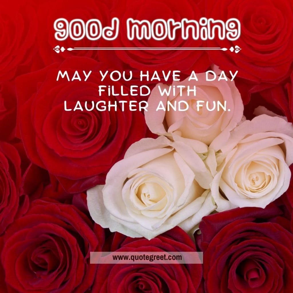 red-white-rose-good-morning-beautiful-cute-wish-romantic-wishes-message-love-greeting-greetings-gud-white-flower-bookey-bouquet-booke-cute-lovely