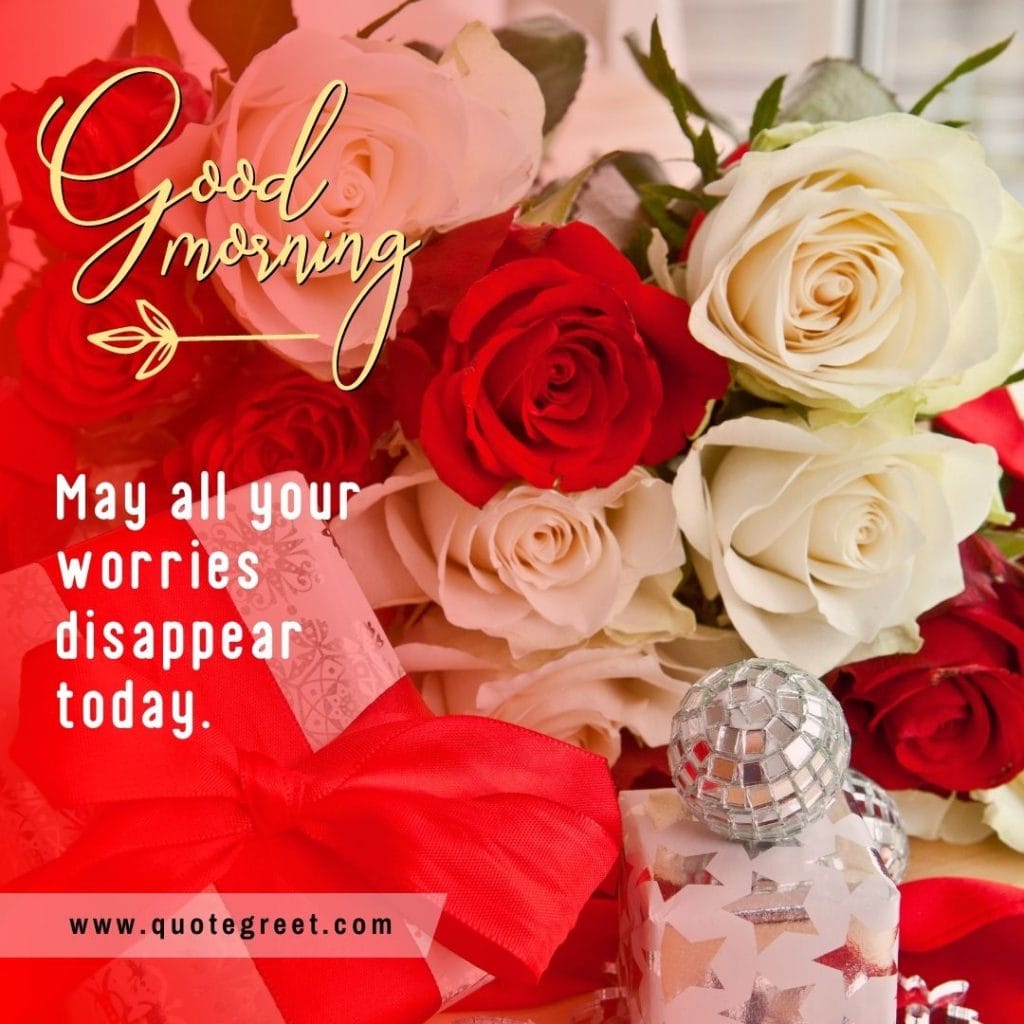 red-white-rose-good-morning-beautiful-cute-wish-romantic-wishes-message-love-greeting-greetings-gud-white-flower-bookey-bouquet-booke-cute-single-red-rose