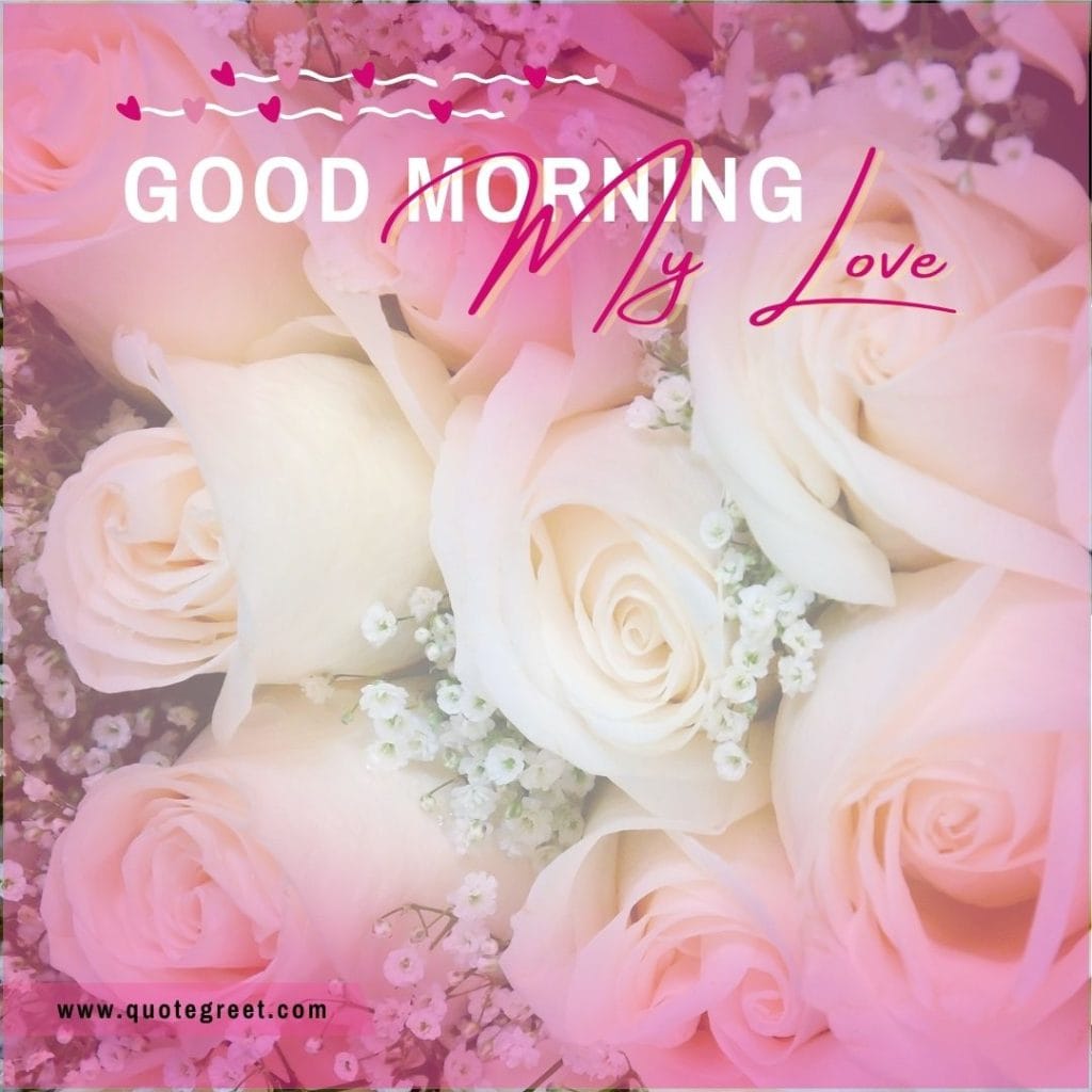 romantic-white-rose-good-morning-beautiful-bookey-bouquet-wishes-message-love-greeting-greetings-gud-pink-white-flower