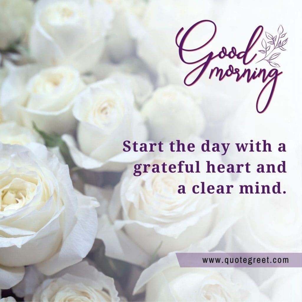 romantic-white-rose-good-morning-beautiful-bookey-bouquet-wishes-message-love-greeting-greetings-gud-purple.