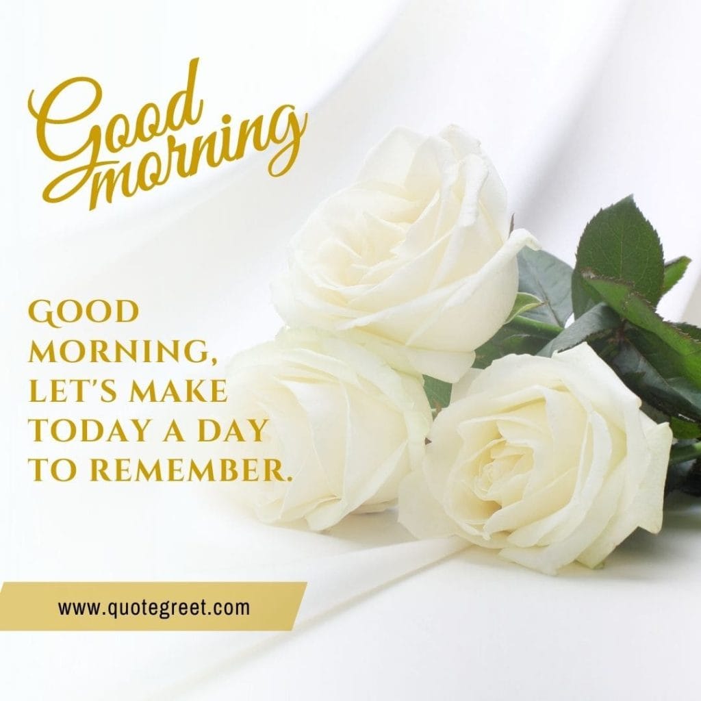 romantic-white-rose-good-morning-beautiful-bookey-bouquet-wishes-message-love-greeting-greetings-gud-yellow-three-rose-white-flower