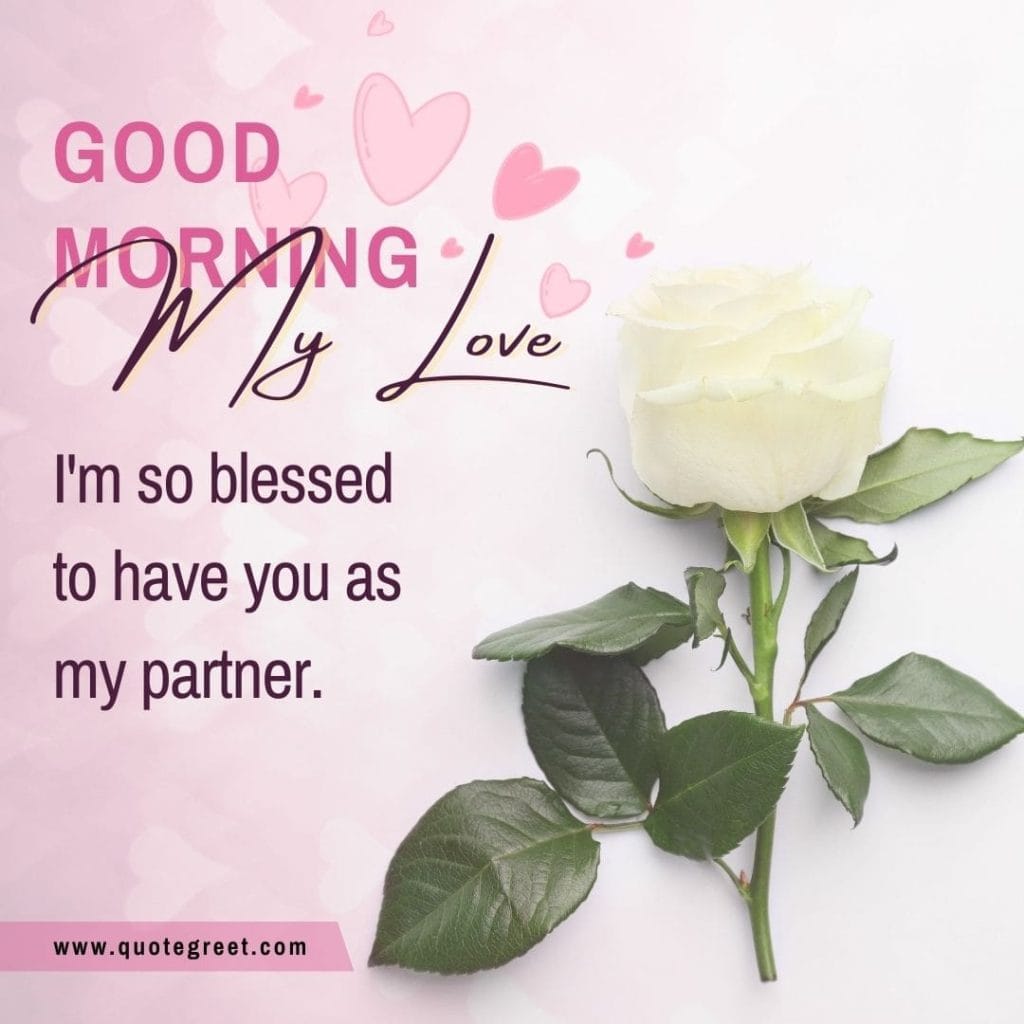 romantic-white-rose-good-morning-beautiful-cute-heart-bookey-bouquet-wishes-message-love-greeting-greetings-gud-pink-white-flower