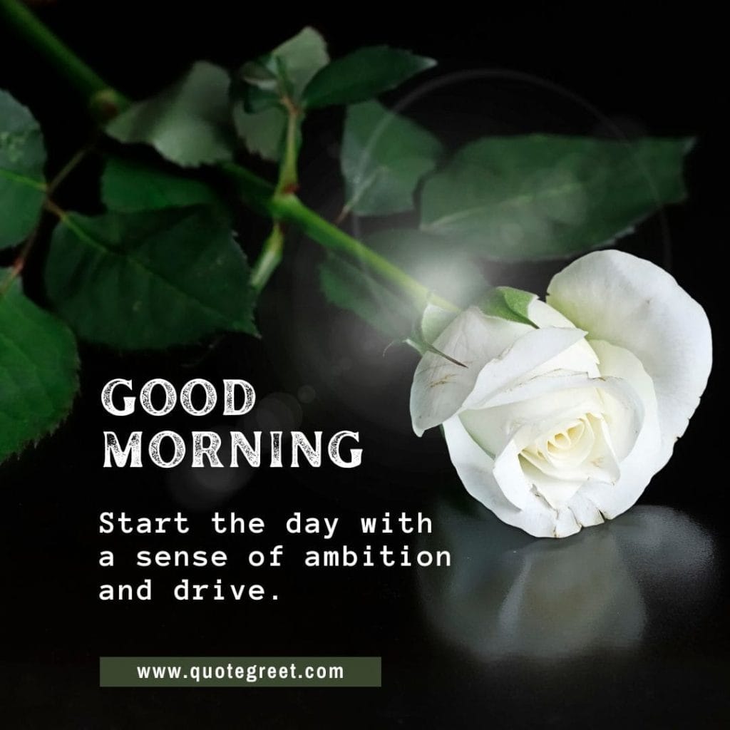 single-white-rose-good-morning-beautiful-cute-one-wishes-message-love-greeting-greetings-gud-white-flower-black-romantic