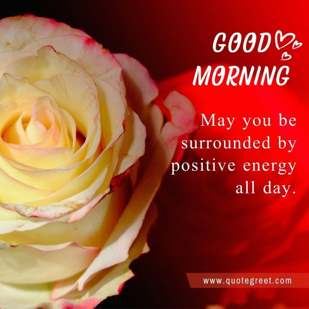 white-red-rose-good-morning-beautiful-cute-wish-romantic-wishes-message-love-greeting-greetings-gud-white-flower-bookey-bouquet-booke-cute-roses-heart