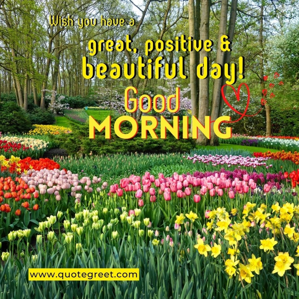 beautiful-tulip-garden-good-morning-flowers-trees-greenery-tulips-flower-yellow-pink-white-red-park-landscape-scenic-scenery-nature-natural-pic-gud-image-photo-picture