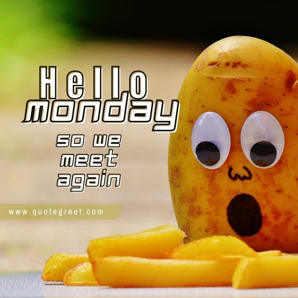 funny-hello-monday-images-so-we-meet-again-fun-image-potato