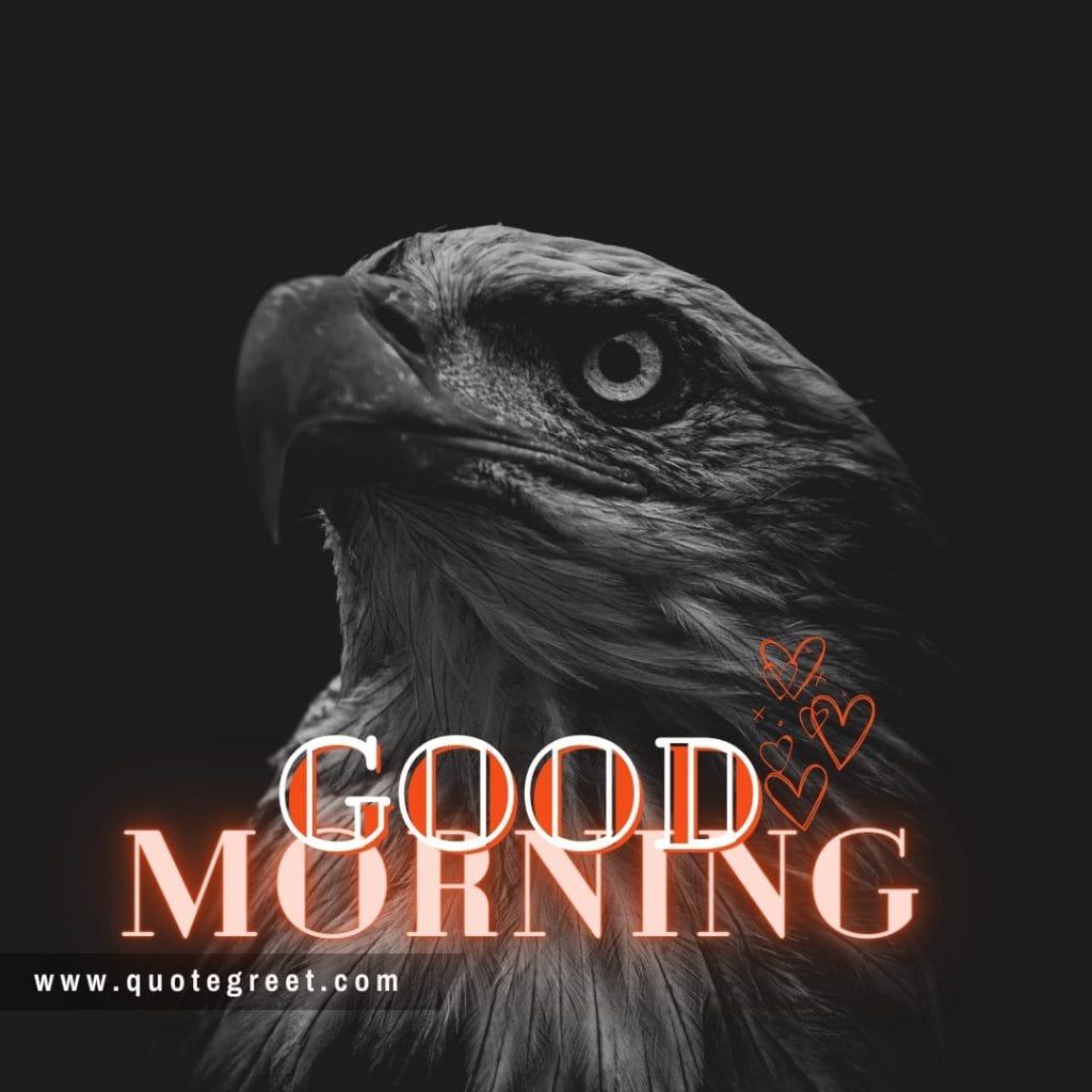 good-morning-black-eagle-bird-image-pic-gud-picture-photo