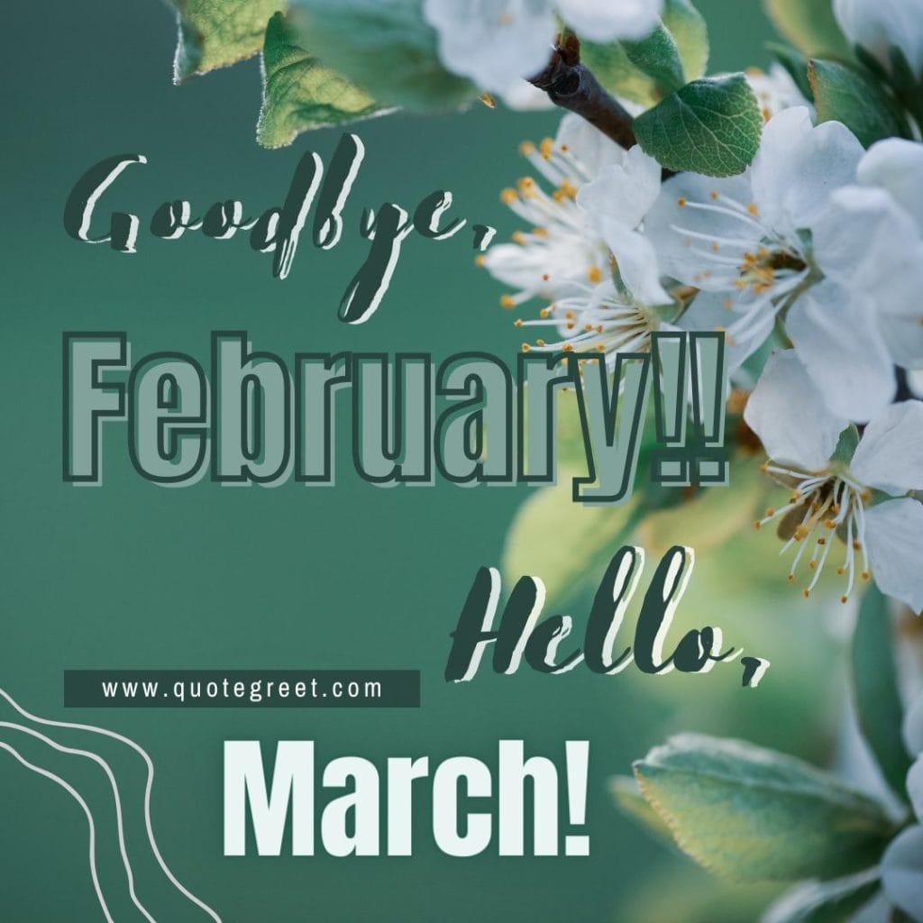 goodbye-february-hello-march-white-flowers-green-image-pic-picture-photo