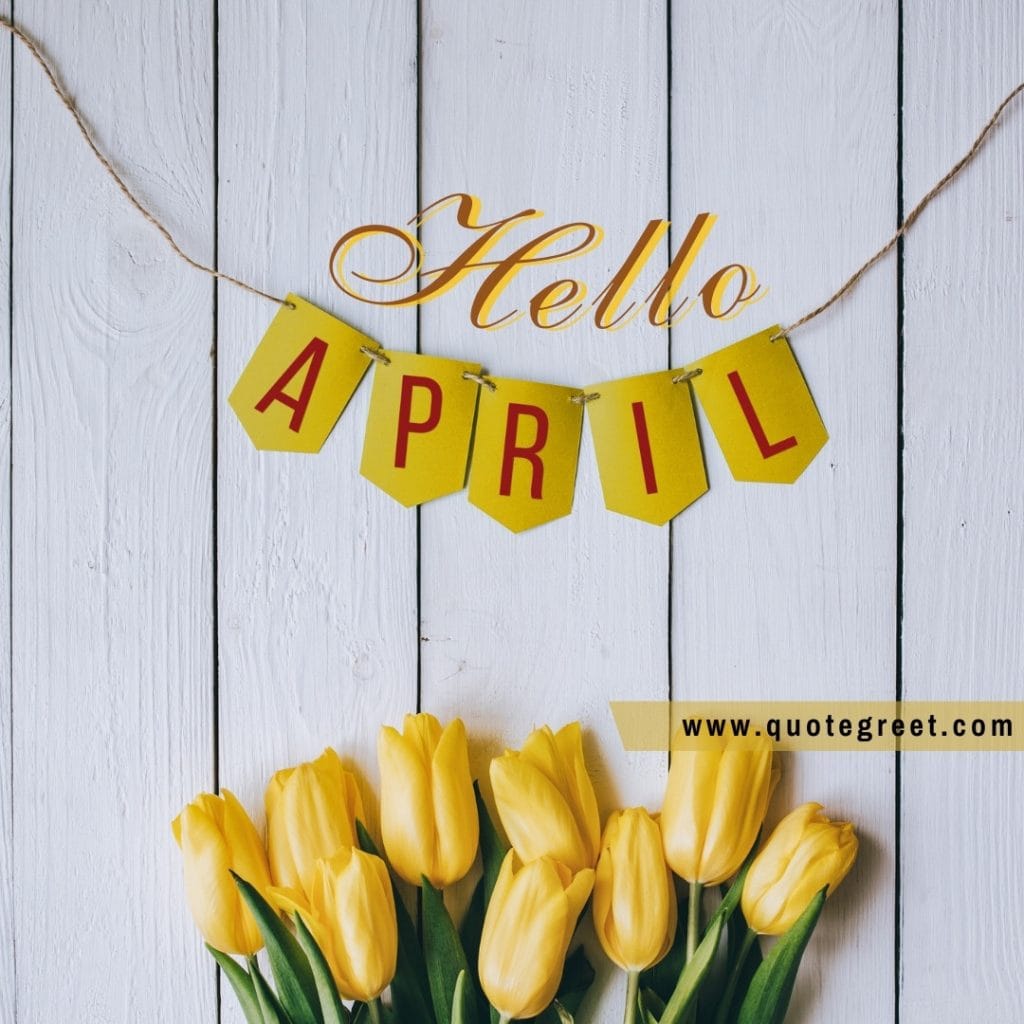 hello-april-yellow-tulips-flowers-cute-amazing-image-picture-pic-photo