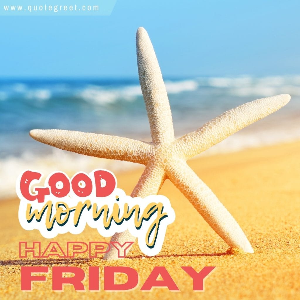 good-morning-happy-friday-starfish-beautiful-nature-natural-pic-gud-image-picture-photo