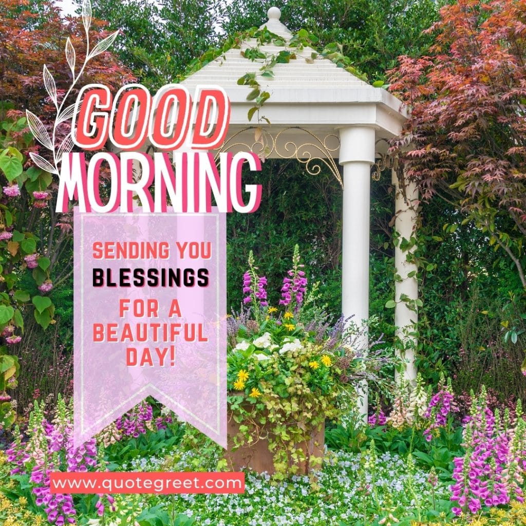 beautiful-garden-good-morning-blessings-flowers-trees-flower-greenery-nature-natural-park-pic-gud-image-photo-picture