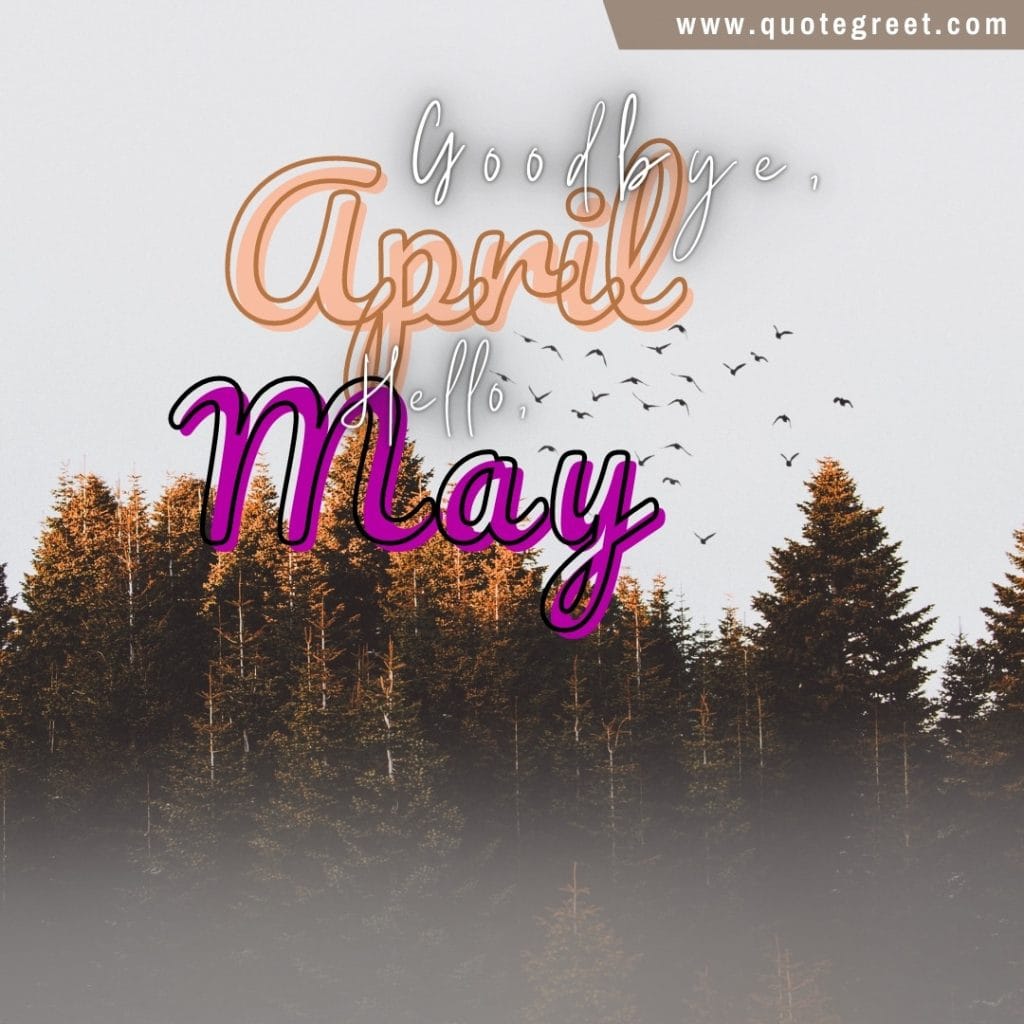 goodbye-april-hello-may-trees-image-pic-picture-photo