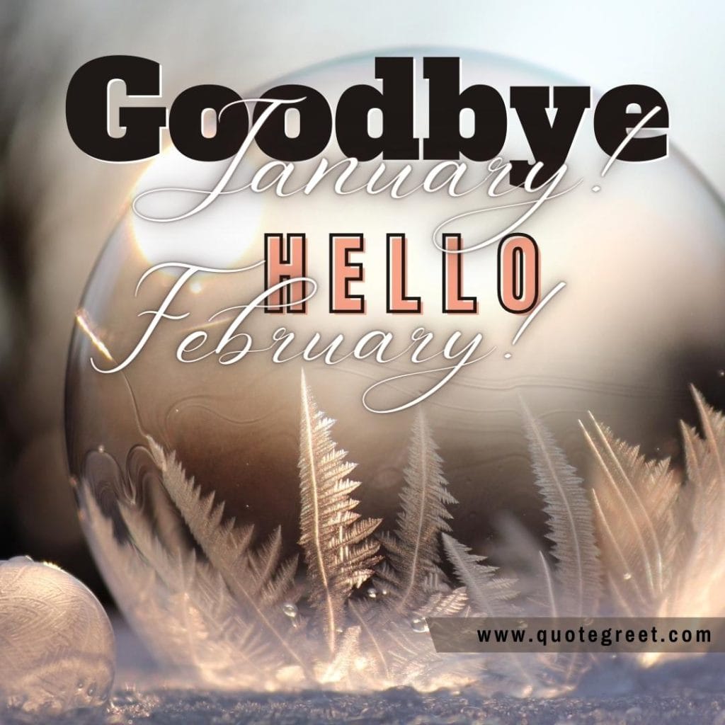 goodbye-january-hello-february-with-white-feathers-cute-image-pic-picture-trees