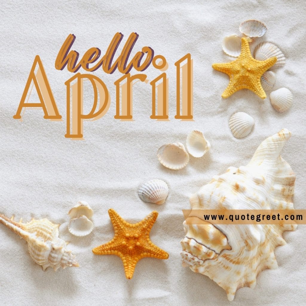 hello-april-beach-white-sand-statfish-seashells-cute-amazing-image-picture-pic-photo