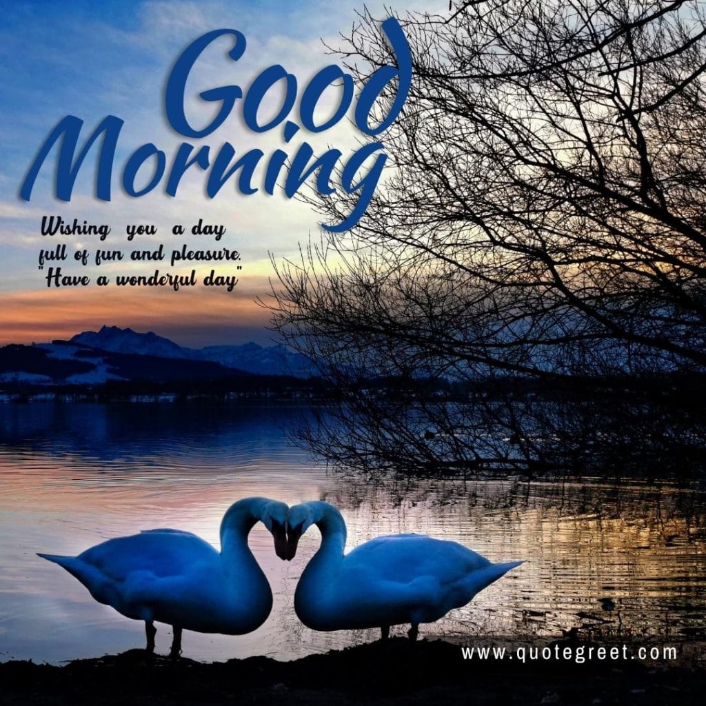 beautiful-good-morning-image-with-two-swans-white-swan-sunrise-nature-water-lake-river-tree-swan-pic-gud