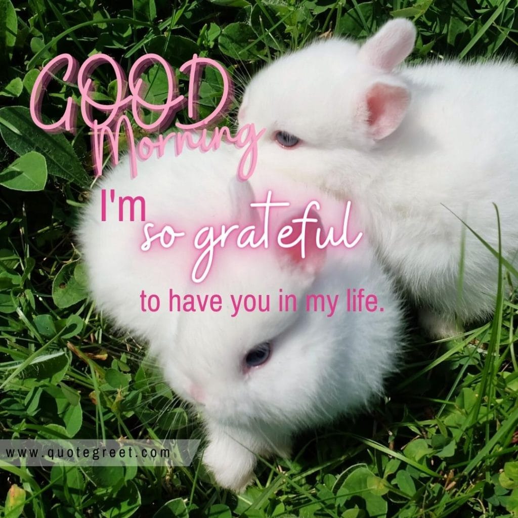 cute-rabbit-good-morning-bunny-image-pic-gud-wishes-bunnies