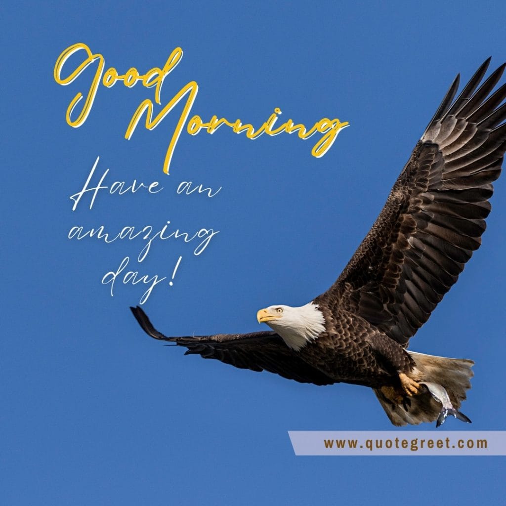 flying-bird-eagle-good-morning-have-an-amazing-day-image-pic-gud-picture-photo