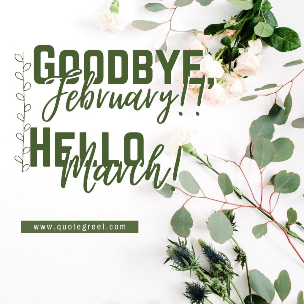 goodbye-february-hello-march-white-flowers-green-image-pic-picture-photo