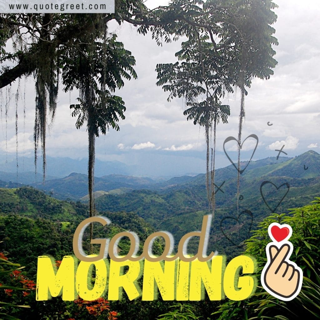 deep-forest-image-with-good-morning-mountain-view-nature-natural-scenery-scenic-pic-picture-gud-jungle-wild-wilderness