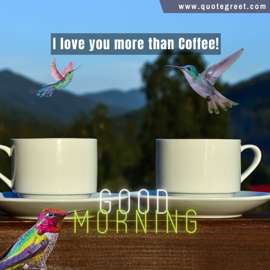 good-morning-coffee-hummingbird-i-love-you-more=than-coffee-mugs-tea-cups-hummingbirds-flying-bird-picture-pic-photo-image