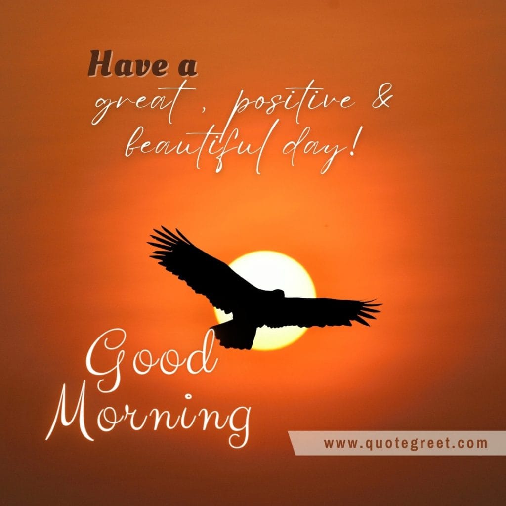 good-morning-flying-bird-have-a-great-positive-beautiful-day-image-pic-gud-picture-photo