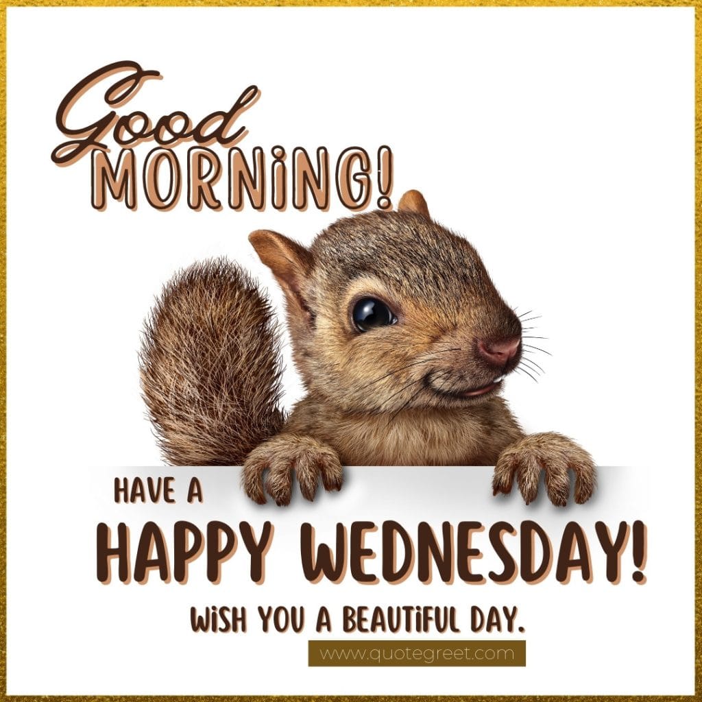 good-morning-happy-wednesday-squirrel-cute-brown-image-picture-pic-photo-gud-wish-message-blessings