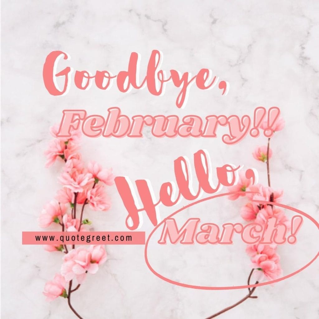 goodbye-february-hello-march-pink-flowers-white-image-pic-picture-photo