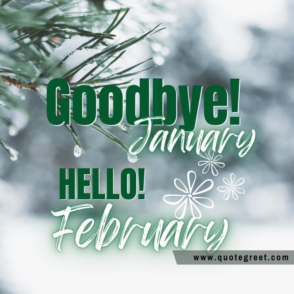 goodbye-january-hello-february-with-winter-snow-tree-green-image-pic-picture-trees