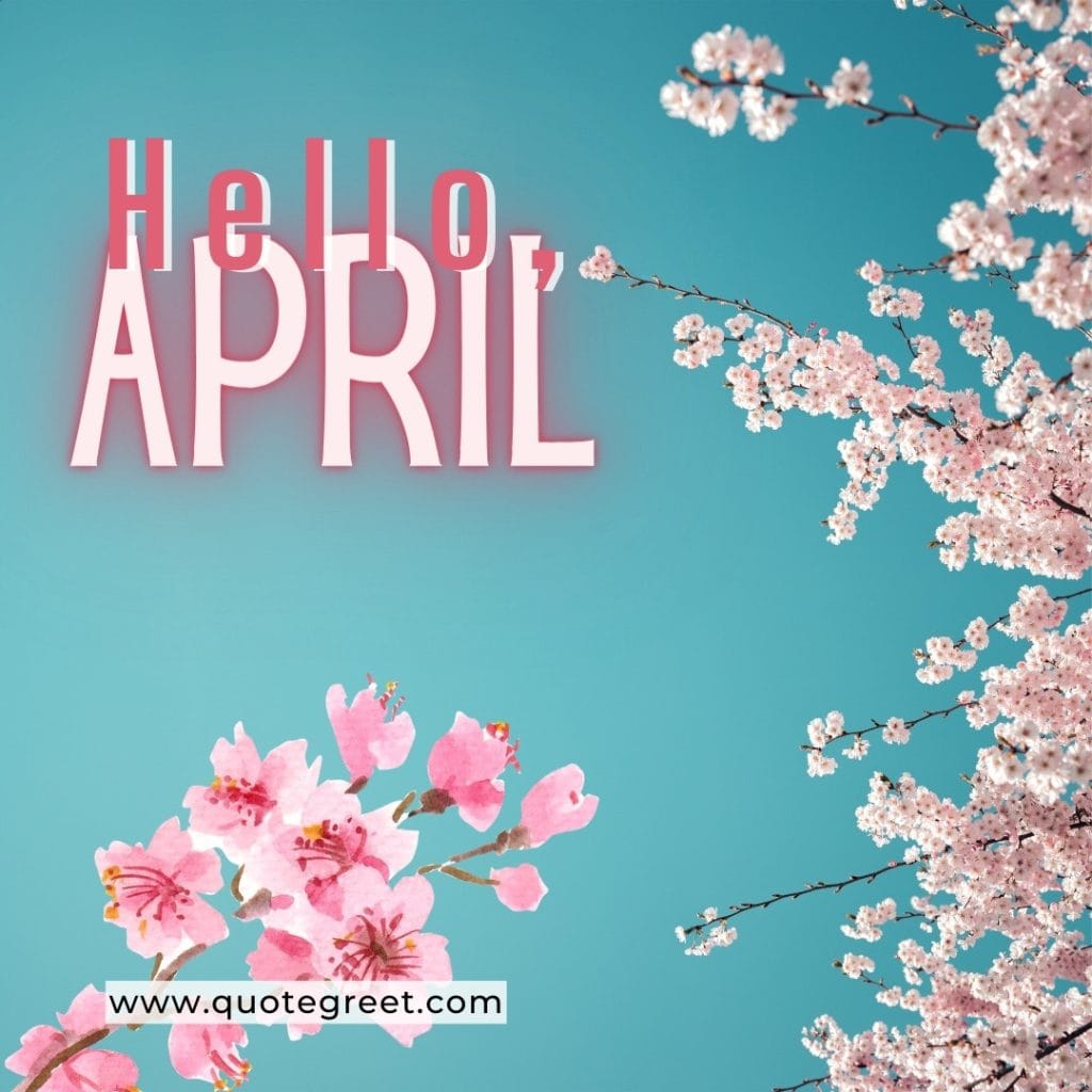 hello-april-cherry-blossoms-blue-background-pink-flowers-cute-amazing-image-picture-pic