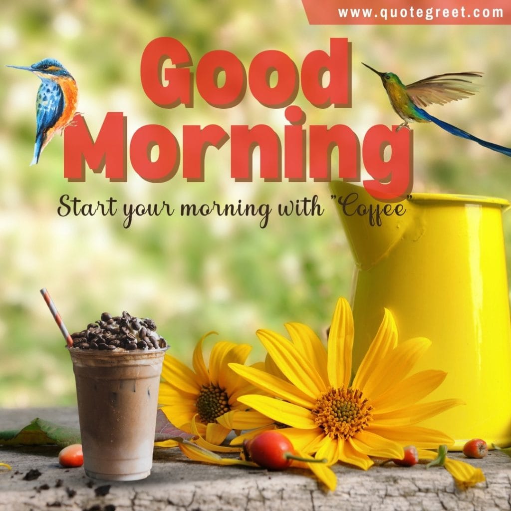 good-morning-coffee-hummingbird-yellow-flowers-hummingbirds-red-bird-picture-pic-photo-image-gud