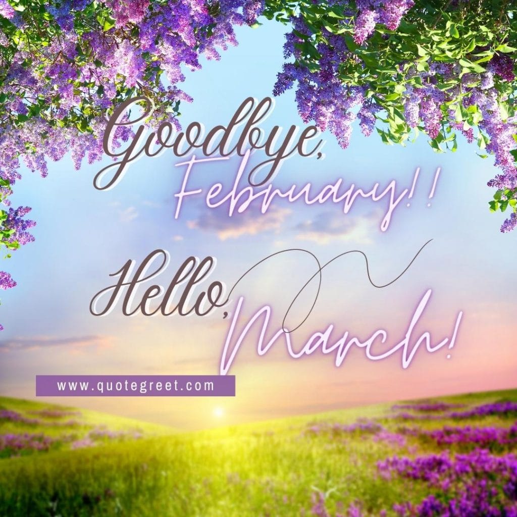 goodbye-february-hello-march-purple-flowers-nature-fresh-image-pic-picture-photo