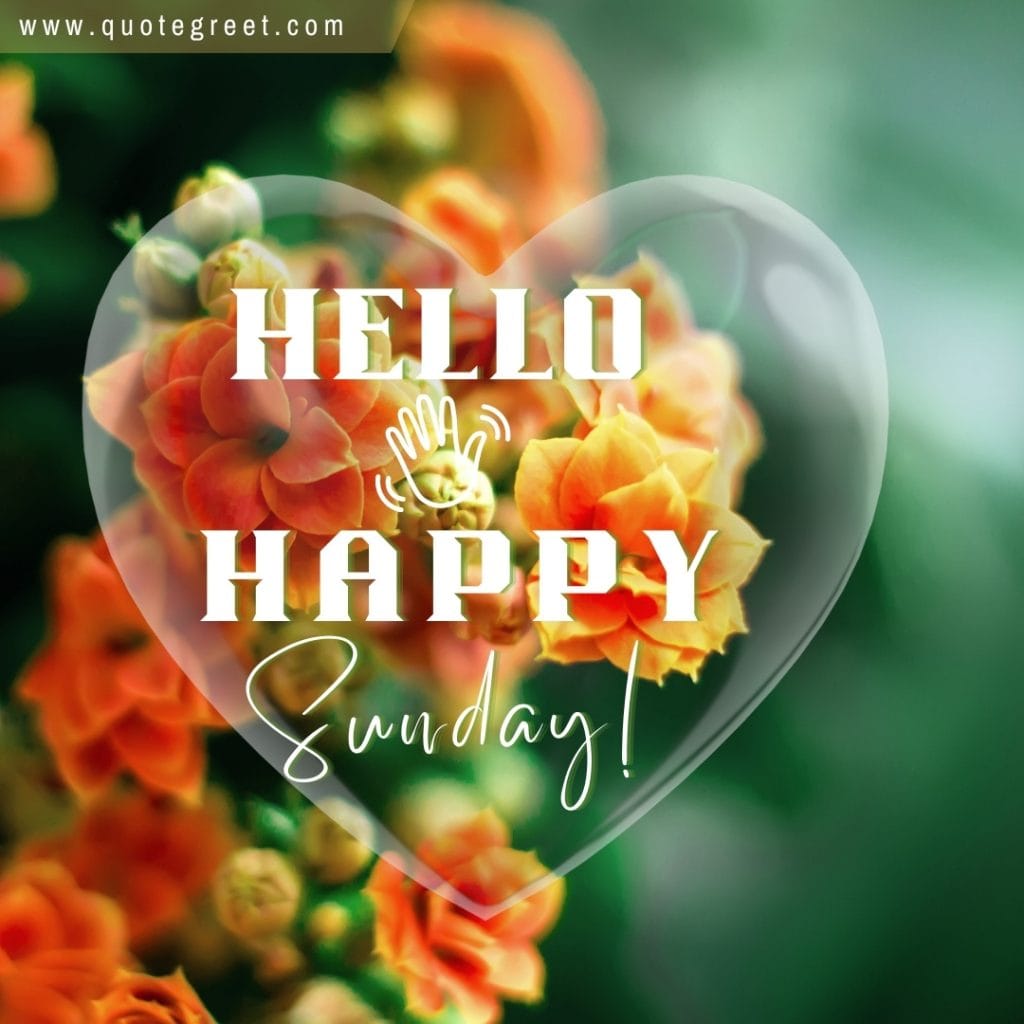 hello-happy-sunday-ornage-flowers-heart-beautiful-cute-aesthetic-image-pic-picture-photo