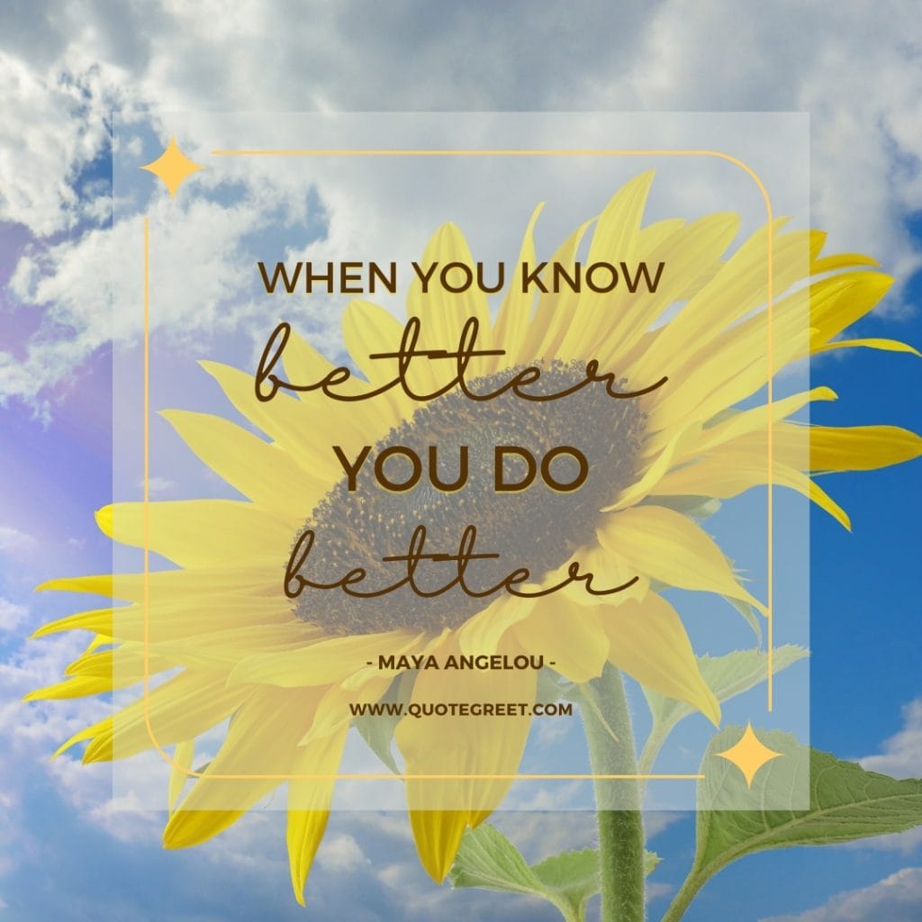 maya-angelou-quotes-do-better-sunflower-image-nature-quote-positive-deep-short-inspiring-inspirational