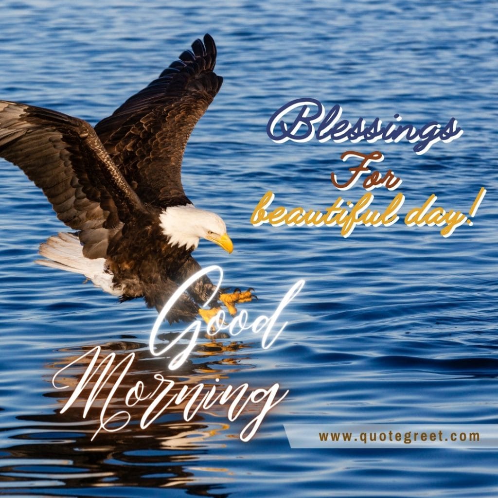 good-morning-blessing-beautiful-day-flying-eagle-bird-image-pic-gud-picture-photo